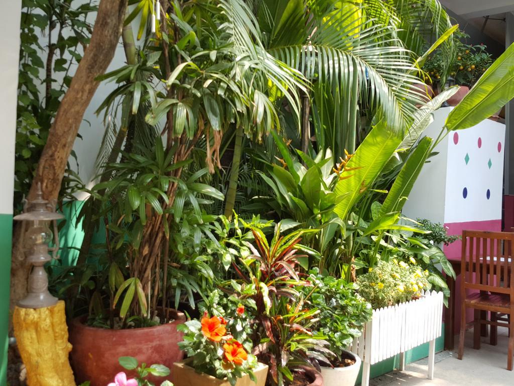 The Little Garden Boutique Hotel Phnom Penh Exterior foto